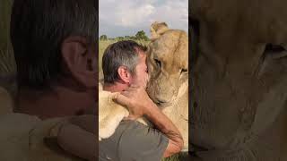 Download lagu JUMPING LIONS! | The Lion Whisperer mp3