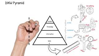 Developing Understanding using the DIKW Pyramid
