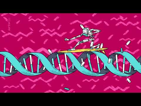 La jeunesse éternelle   Homo digitalis   ARTE