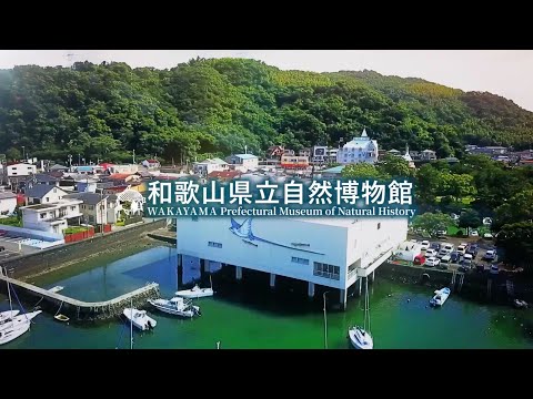 自然博物館動画広告事例