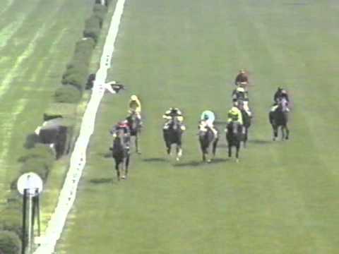 Incidente in corsa all'Ippodromo di San Siro -- Milano