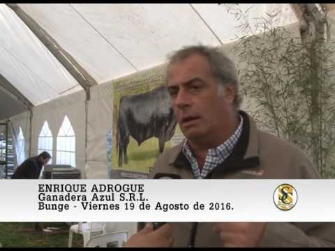 19-08-16 Nota Enrique Adrogue - Cabaña Tres Marìas - Bunge.