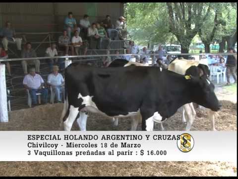 Ventas  - Saenz Valiente, Bullrich & Cia. - Chivilcoy. 18-03-2015