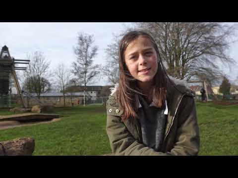 Image representing the video Learning from Serious Case Reviews