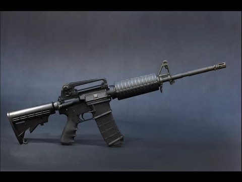 Bill Blair might make gun owners store guns in "central" facilities