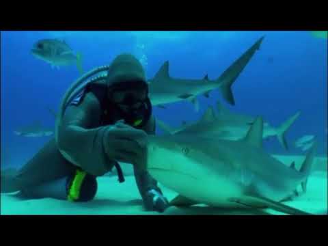 Teknologjia e Fundit - (Dokumentar Shqip)