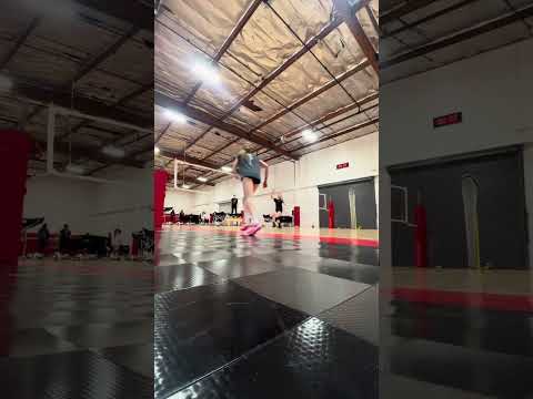 2026 graduate Pin Hitter - clips from 2024
