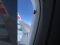How can this roach climb on the window? Cockroach fly over the sky