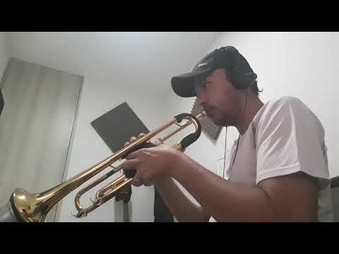 The pink panther GONZALITO TROMPETA