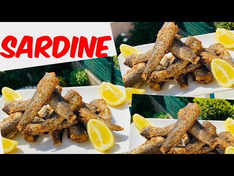 FRITURE DE SARDINES