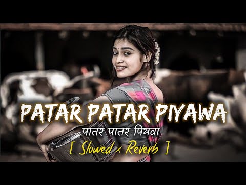 Patar Patar Piyawa Palang Par |🎧| Bhojpuri (Slowed + Reverb) Songs / #slowedandreverb  #bhojpurisong