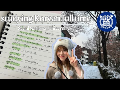 language school diaries 📚🇰🇷 // studying Korean at Seoul National University (vlog)