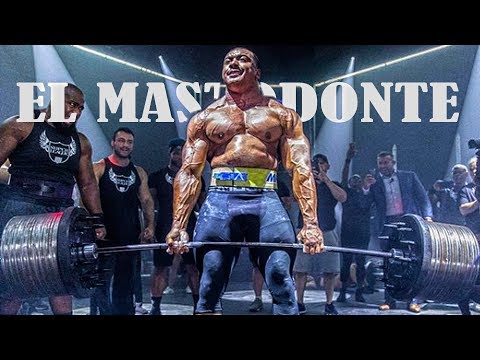 EL MASTODONTE - Larry Wheels
