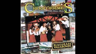 Music video thumbnail preview for Please Don't Say It -Cherryholmes by Cherryholmes