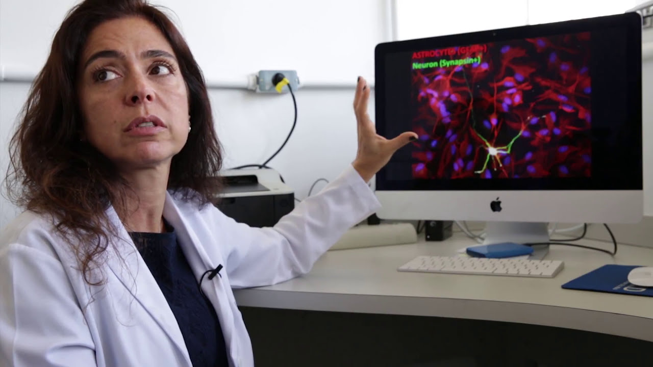 Neurônio afetado por autismo muda conforme ambiente cerebral | NDC 01