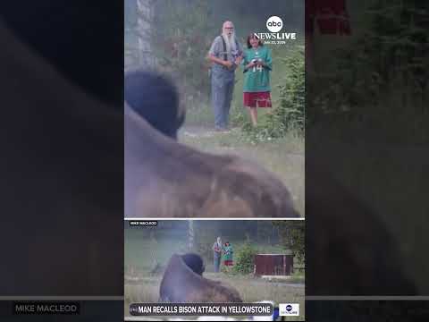 Man tossed by Yellowstone bison is speaking out