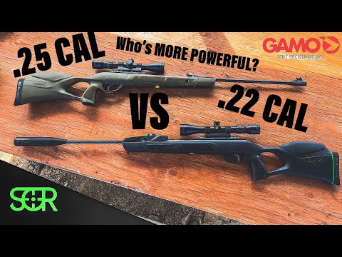 Gamo Magnum .22 VS .25 WHICH IS MORE POWERFUL?!