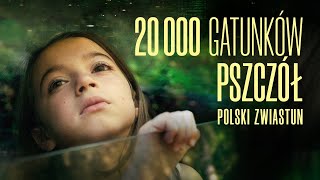 20 000 gatunków pszczół - Zwiastun