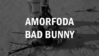 Amorfoda - Bad Bunny (LETRA)