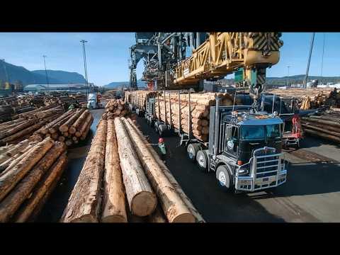 Inside America’s Most Advanced Lumber Mill - From Powerful Machines Massive Logs into Perfect Lumber