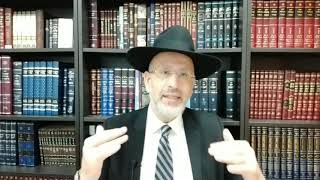 Le libre arbitre n°1 L origine du libre arbitre l élévation de l âme de Salomé Rahel Perle zal