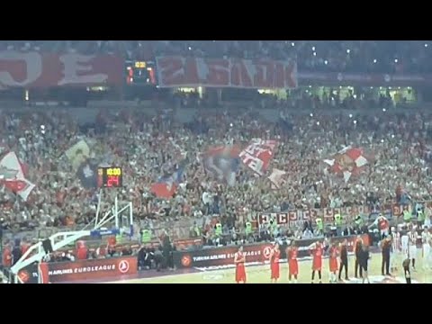 Delije - Ludnica u Areni