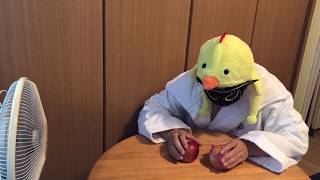 りんごちゃんに鬼畜な愛撫