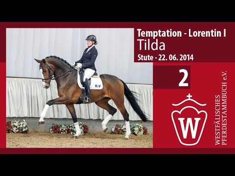 02 Tilda  Stute v. Temptation - Lorentin I