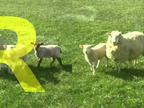 3y3b4ll - Sheep Shagger (feel the wool)