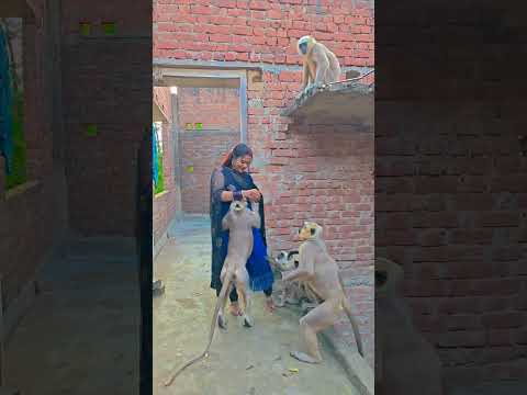 my own naseeba #song