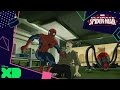 Ultimate Spider Man Vs The Sinister Six Hydra Attacks Official Disney XD UK