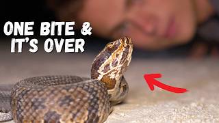 Bizarre Creatures of the Florida Everglades!