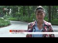 Actie om honderden bomen in Leersum te redden [RTV Utrecht]