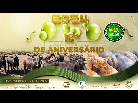 LOTE 19 - 04 TERNEIROS INTEIROS