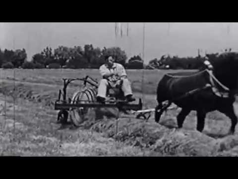 Boeren in vroeger tijden 1920-1960