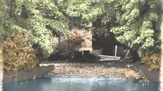 The Feelies - Time Is Right