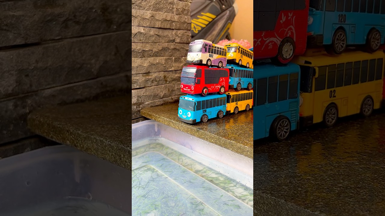 Tayo the Little Bus #toys #tayo #shorts