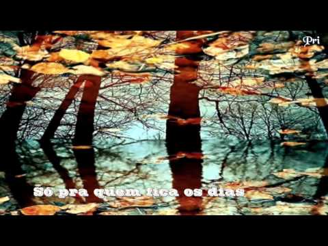 Uma voz no vento -  Leila Pinheiro