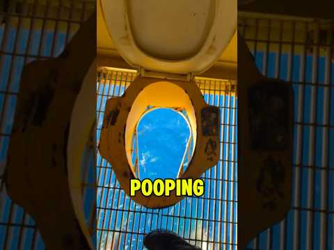 Would You Poop Here?