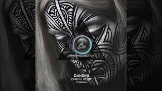 Download lagu Andre Rizo presents Chris K - Dandini mp3