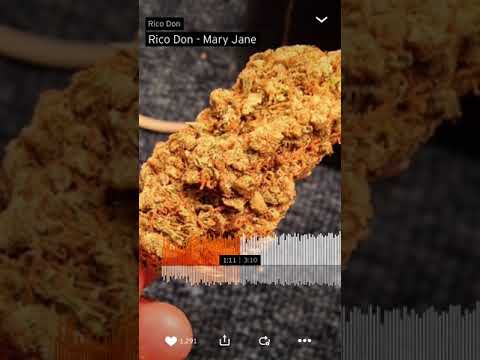 Rico don - Mary Jane