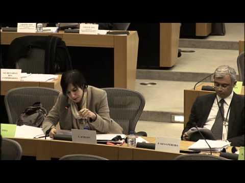 1/4/2015 - DEVE - Elly Schlein - rapporto su evasione fiscale nei paesi in via di sviluppo