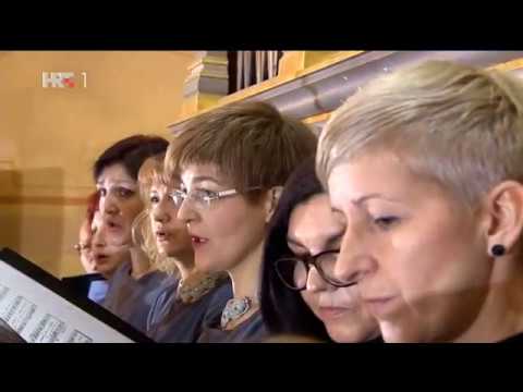 Prijenos mise iz župe Uznesenja BDM - Stenjevec, Zagreb - 12.02.2017.