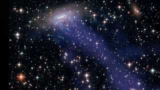 It&#39;s A Good Life If You Don&#39;t Weaken