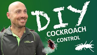 How Professionals Get RID of Cockroaches (DIY Pest Control)