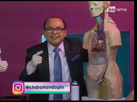 ¿Porqué se produce la Sepsis?