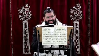 זבחים דף נ"ג ע''ב ¤ הרב נתנאל אברז'ל ¤ בית הכנסת "בית מרדכי" (מוסדות תורת דוד) - התמונה מוצגת ישירות מתוך אתר האינטרנט יוטיוב. זכויות היוצרים בתמונה שייכות ליוצרה. קישור קרדיט למקור התוכן נמצא בתוך דף הסרטון