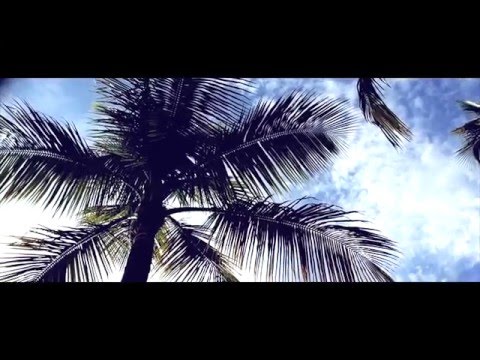 BelleBows- Styling for people and pets