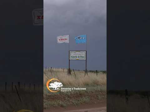 Remate anual 2025 Estancia Gloria a Dios Cabaña La Paz de Werthein - Batavia (San Luis)