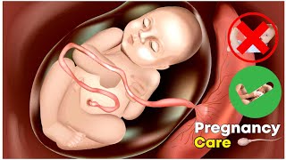 Pregnancy (Pre And Post Care) | Your Medical Care